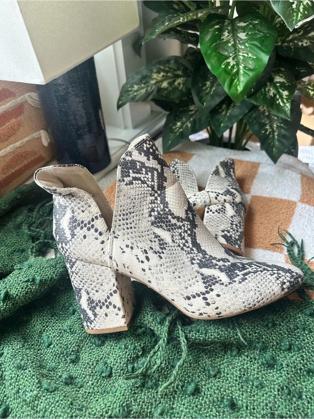 Steve Madden Snake-Print Ankle Booties in Black and Cream